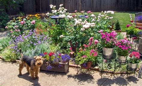  Ideally however you do need to have a garden, and a part of the garden which your dog can use as a bathroom, along with a good system for clearing up after him hygienically